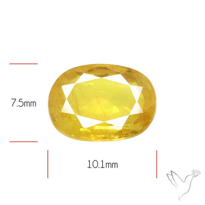 Faceted Yellow Sapphire