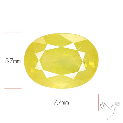 Faceted Yellow Sapphire