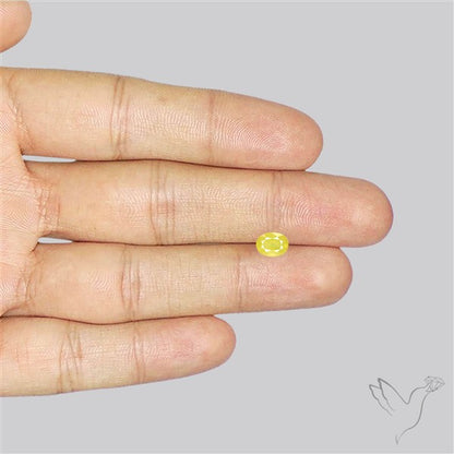 Faceted Yellow Sapphire