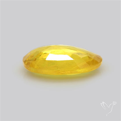 Faceted Yellow Sapphire