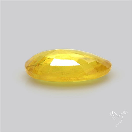 Faceted Yellow Sapphire