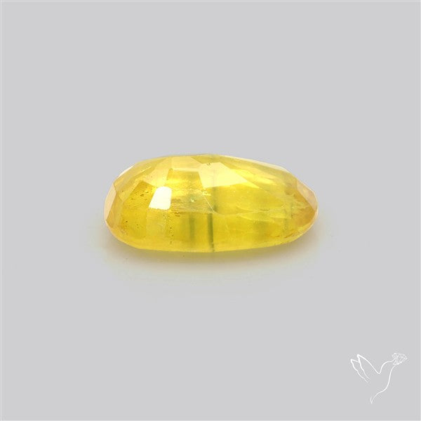 Faceted Yellow Sapphire