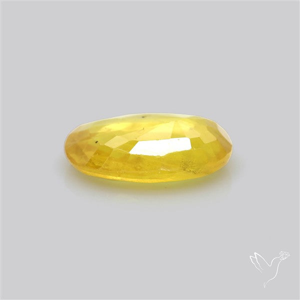 Faceted Yellow Sapphire