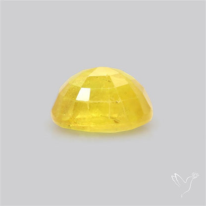 Faceted Yellow Sapphire