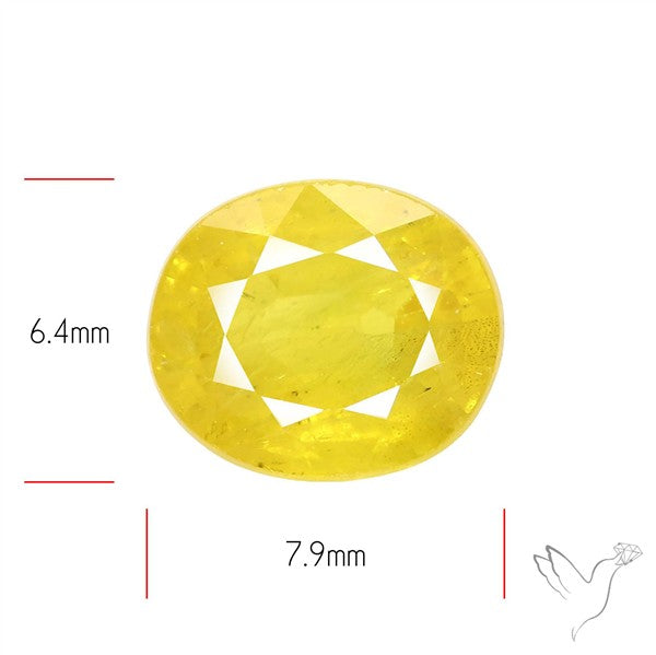 Faceted Yellow Sapphire