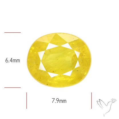 Faceted Yellow Sapphire
