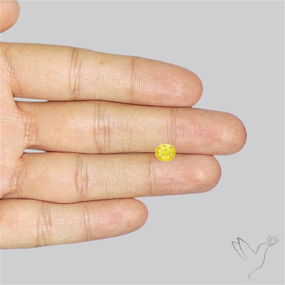 Faceted Yellow Sapphire