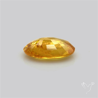 Faceted Yellow Sapphire