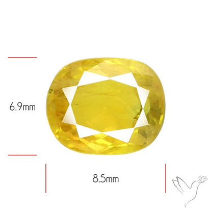 Faceted Yellow Sapphire
