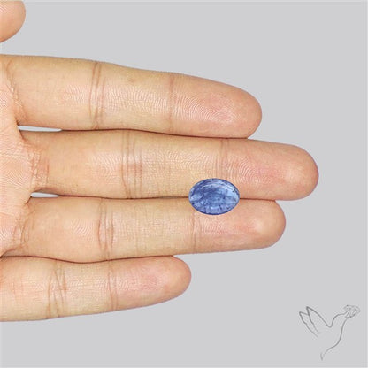 Tanzanite Cabochon