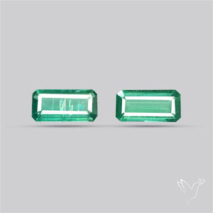 AAA Faceted Green Kyanite Pair Emerald Cut