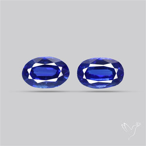 AAA Faceted Blue Kyanite Pair