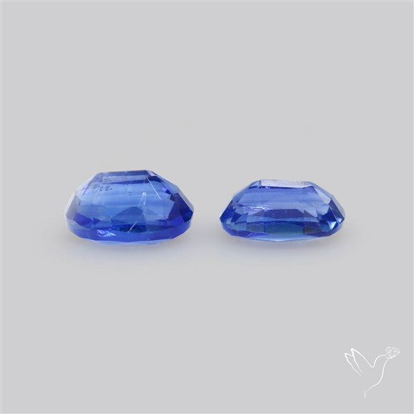 AAA Faceted Blue Kyanite Pair