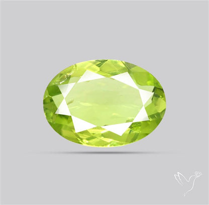 Arizona Peridot Faceted Fine Gemstone