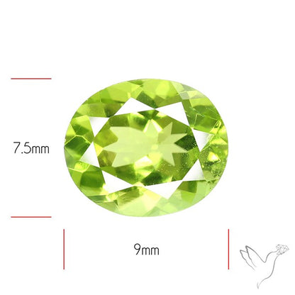 Arizona Peridot Faceted Fine Gemstone