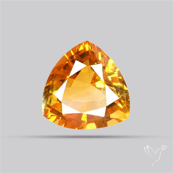 Faceted Rare Brandy Citrine