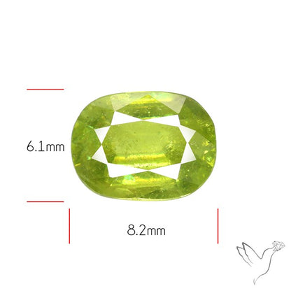 Faceted High Grade Sphene