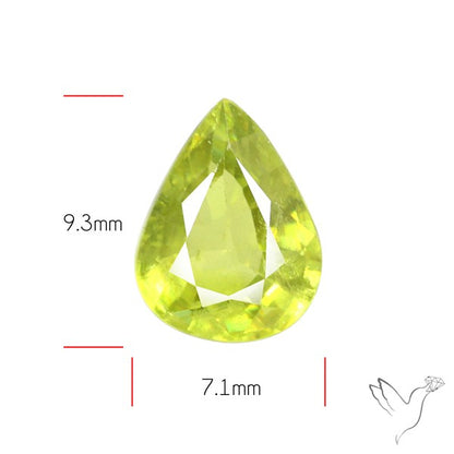 Faceted High Grade Sphene