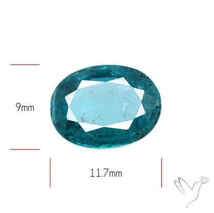 AAA Neon Ocean Teal Kyanite Fine Kyanite Gemstone