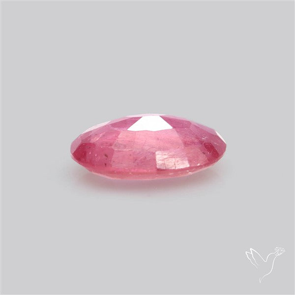 Chanthaburi Pink Sapphire Fine Sapphire Gemstone