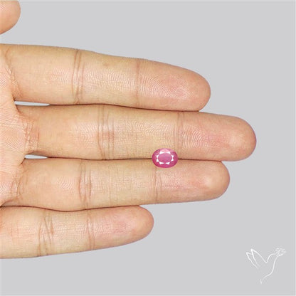 Chanthaburi Pink Sapphire Fine Sapphire Gemstone