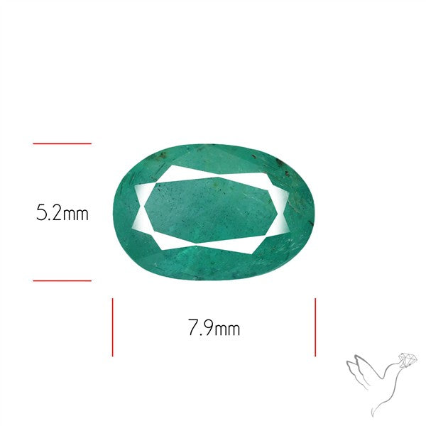 Zambian Emerald Faceted Fine Gemstone