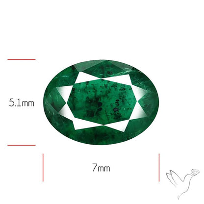 Zambian Emerald Faceted Fine Gemstone