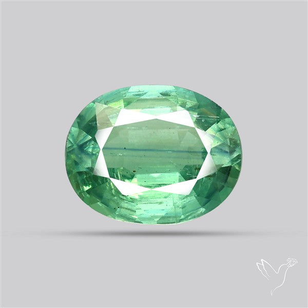 Natural Green Kyanite Rare Deep Green Faceted Fine Gemstone