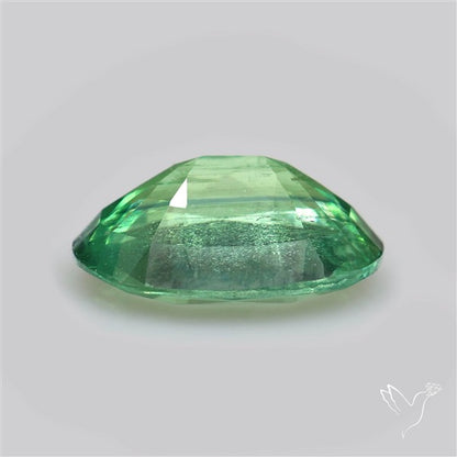Natural Green Kyanite Rare Deep Green Faceted Fine Gemstone