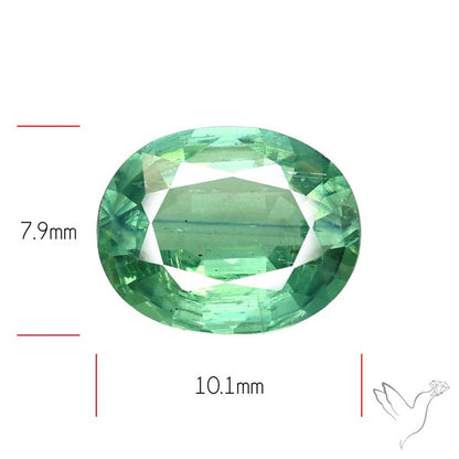 Natural Green Kyanite Rare Deep Green Faceted Fine Gemstone