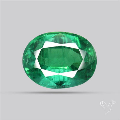 Natural Green Kyanite Rare Deep Green Faceted Fine Gemstone