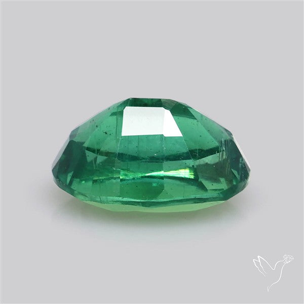 Natural Green Kyanite Rare Deep Green Faceted Fine Gemstone
