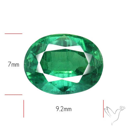 Natural Green Kyanite Rare Deep Green Faceted Fine Gemstone