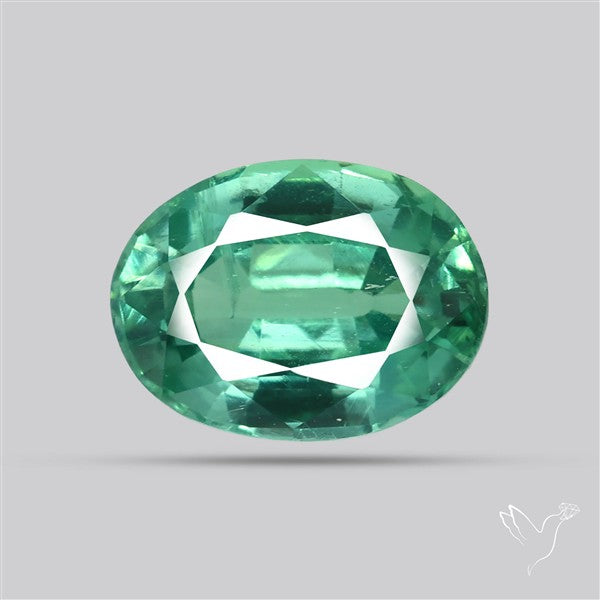 Natural Green Kyanite Rare Deep Green Faceted Fine Gemstone