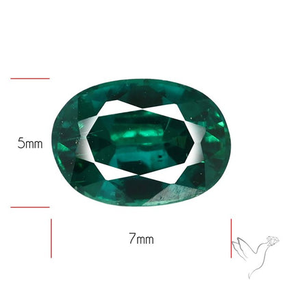 Natural Green Kyanite Rare Deep Green Faceted Fine Gemstone