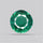 Natural Green Kyanite Rare Deep Green Faceted Fine Gemstone