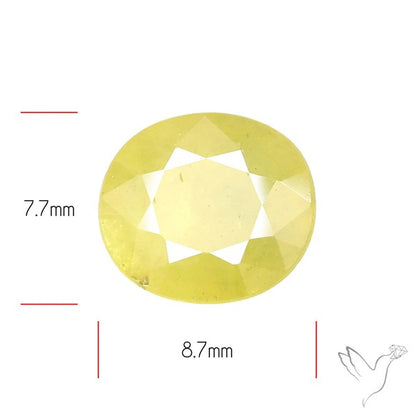 Yellow Sapphire Faceted Fine Gemstone