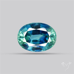 Bi Color Blue Green Kyanite Faceted High Grade Fine Gemstone