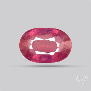 Chanthaburi Pink Sapphire Fine Sapphire Gemstone