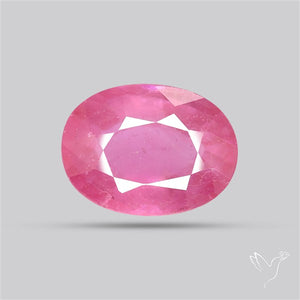 Chanthaburi Pink Sapphire Fine Sapphire Gemstone