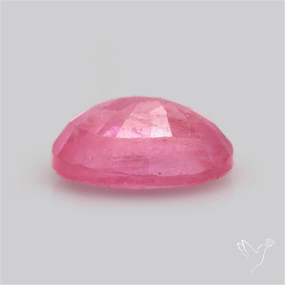 Chanthaburi Pink Sapphire Fine Sapphire Gemstone