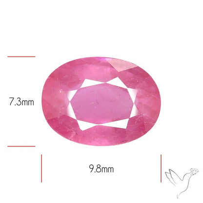 Chanthaburi Pink Sapphire Fine Sapphire Gemstone