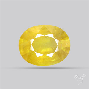 Faceted Yellow Multi Sapphire Fine Gemstone