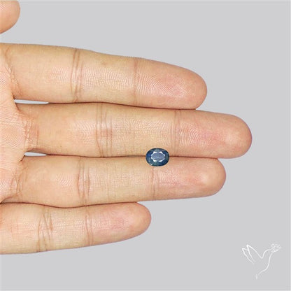 Velvet Sheen Blue Sapphire Fine Gemstone