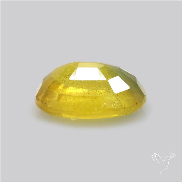 Faceted Yellow Multi Sapphire Fine Gemstone