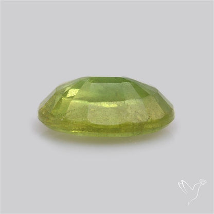 Faceted Green Multi Sapphire Fine Gemstone