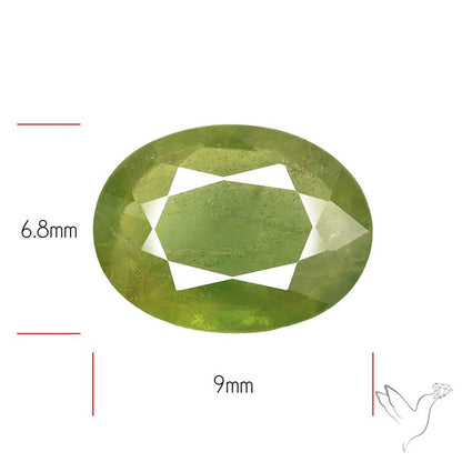 Faceted Green Multi Sapphire Fine Gemstone