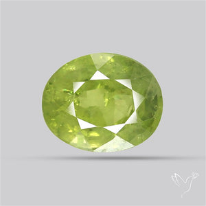 Faceted Green Multi Sapphire Fine Gemstone