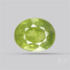 Faceted Green Multi Sapphire Fine Gemstone