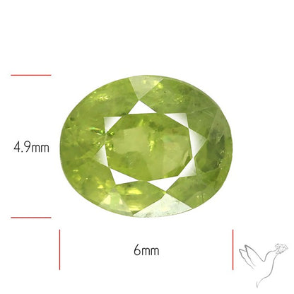 Faceted Green Multi Sapphire Fine Gemstone